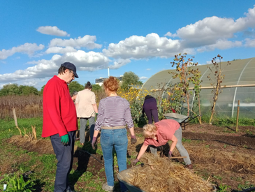 Atelier jardin en permaculture