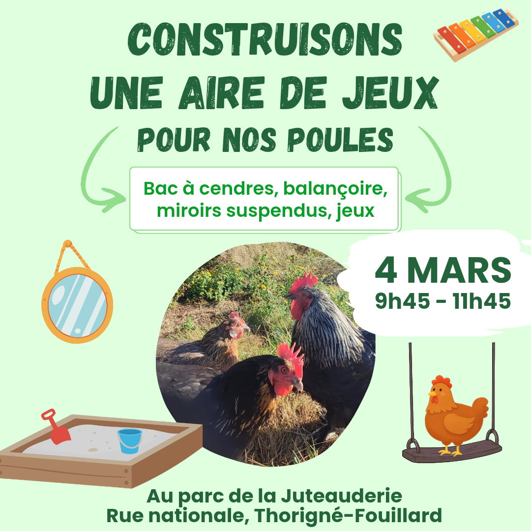 Construire une aire de jeux pour les poules🌱