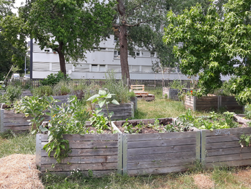 Réveil du jardin partagé - Jardin Ecos'ystème