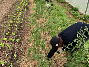 1 coup de main pour la ferme des 1000 bras