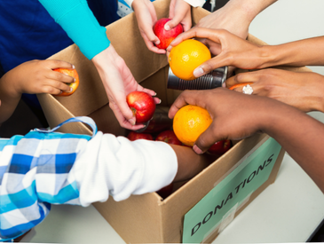Tri des collectes alimentaires
