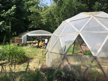 Réveil du jardin partagé - Amazonia Garden