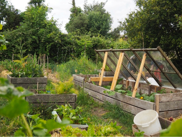 Entretien des potagers solidaires des berges de pirmil