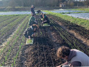 Maraîchage à Quincé