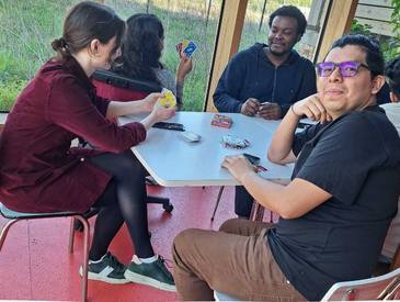 Animation d'un temps d'échange linguistique avec Singa