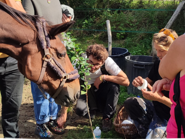 Jardiner et prendre soin des animaux🌱