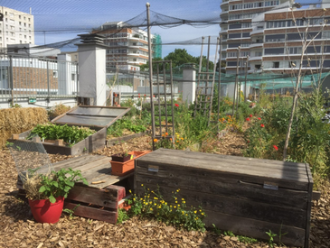 Venez jardinez sur le toit de l'école Tanger B ! (19ème)