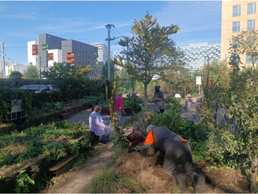 Plantation au jardin du Pin Sec