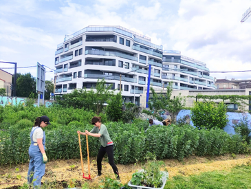 Jardinez et bricolez à Terre Terre