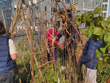 Journée "Tous Ô Potager" : visite et jardinage avec Veni Verdi (20ème)