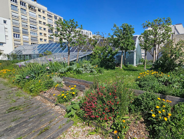 Venez jardinez avec Veni Verdi sur le toit d'une entreprise (20ème)
