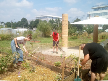 Jardinage et Bricolage